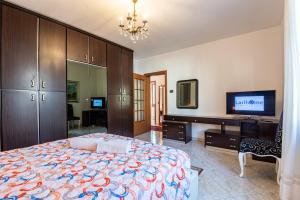 TV a/nebo společenská místnost v ubytování Apartment with garden a few steps from the lake - Larihome A06 + 11 fotografií