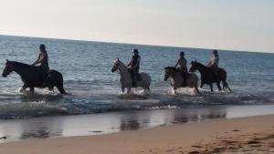 eine Gruppe von Menschen, die am Strand reiten in der Unterkunft Chambre chez l'habitant LGBT près de la plage naturiste de Granville in Bréville-sur-Mer