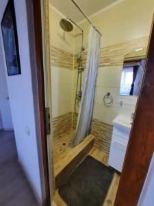 a bathroom with a shower and a sink at Casa Flavia in Poiana Mărului