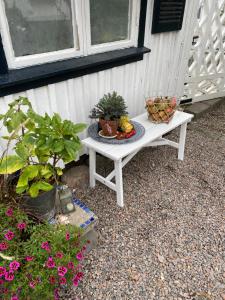 Zahrada ubytování B&B Bland ormbunkar och rosor