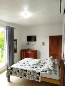 a bedroom with a bed and a tv on the wall at Kitnet em Alter do Chão in Alter do Chao