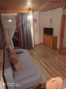 Televízia a/alebo spoločenská miestnosť v ubytovaní Haus Sonnenschein