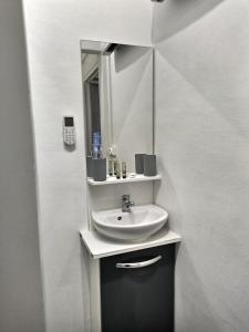 La salle de bains est pourvue d'un lavabo et d'un miroir. dans l'établissement SUPERBE STUDIO 3 FACE GARE, à Évreux