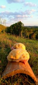 Tre panini seduti su una roccia nell'erba di Bed & Tours Dimora di campagna a Castelnuovo Belbo
