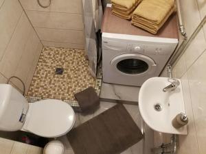 y baño con aseo, lavabo y lavadora. en Draugystės Apartment, en Šiauliai