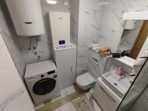 een kleine badkamer met een wasmachine en een toilet bij Apartman Teodora in Donje Mladice +19 foto's