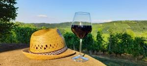 un cappello di paglia e un bicchiere di vino su un tavolo di Bed & Tours Dimora di campagna a Castelnuovo Belbo