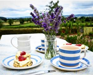 Higher Biddacott Farm في Chittlehampton: طاولة مع أطباق من الطعام و إناء من الزهور