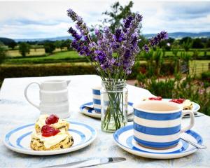 een tafel met borden en een vaas met bloemen bij Higher Biddacott Farm in Chittlehampton