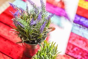 un vaso pieno di fiori viola su un muro di Parking - Le Wild Forest - Centre Historique a Phalsbourg
