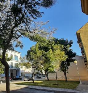 eine Straße mit Bäumen an der Seite einer Straße in der Unterkunft Valinor Apartments Boliches in Fuengirola