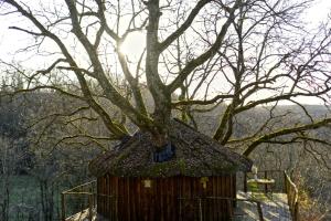 een boom in een klein huis met gras erop bij Les Cabanes de Brassac in Brassac