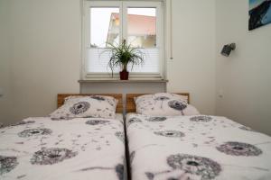 two beds in a room with a window at FeWo Waldi am Kurpark in Bad Tölz