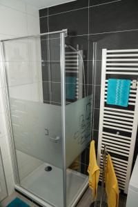 a glass shower in a bathroom with blue towels at FeWo Waldi am Kurpark in Bad Tölz