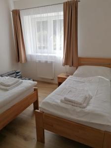 2 Einzelbetten in einem Zimmer mit Fenster in der Unterkunft Apartmán 68 Horní Lipová in Lipová-lázně