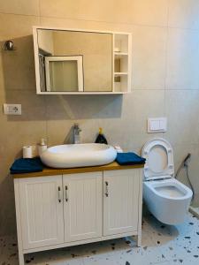 een badkamer met een wastafel en een toilet bij N&N Apartment in Përmet