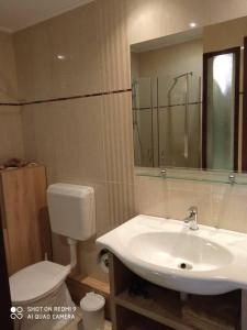 シャールヴァールにあるBesenyei Apartmanのバスルーム(洗面台、トイレ、鏡付)