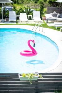 Piscina di Breakers Montauk o nelle vicinanze
