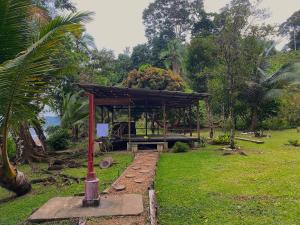 Choibana Ecolodge外面的花园