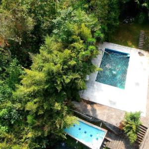 an overhead view of a swimming pool and trees at Hospedaje Pance Arí Munani Reserva Natural in Cali