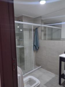 a bathroom with a shower with a toilet and a sink at Moderno monoambiente con vista al Río in Rosario