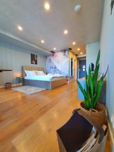 a large room with a bed and a potted plant at Eriss Studio Suite - OZone building apartment in Cluj-Napoca