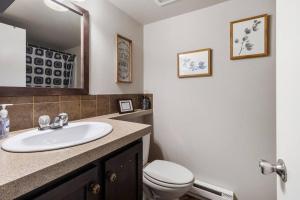 a bathroom with a sink and a toilet at Cozy Tiny Home Steps Away From Mt. Rainier in Ashford +15 photos