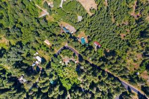 阿什福德New Tiny Home Steps Away From Mt. Rainier的相册照片