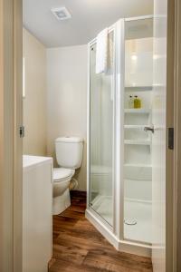 a bathroom with a toilet and a glass shower at 10 Cottages in Franz Josef