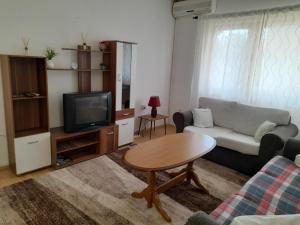 TV a/nebo společenská místnost v ubytování Apartman Avdić
