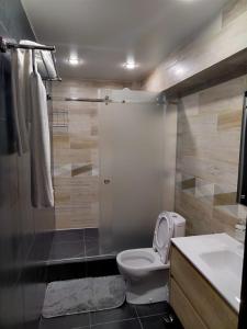 un baño con inodoro y ducha en Апарт-отель Attic, en Zabaykal'sk