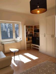 ein Wohnzimmer mit einem Sofa und einem Fenster in der Unterkunft Perfect apartment to visit the fair or city in Düsseldorf