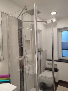 a bathroom with a glass shower and a toilet at FeWo ERZ-Zeit in Annaberg-Buchholz