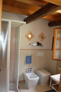 een badkamer met toilet en wastafel bij Baita Agaz in Sovramonte +104 foto's