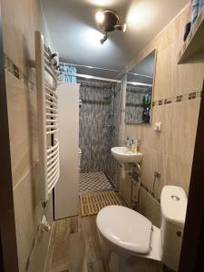 a bathroom with a toilet and a sink and a shower at CHALUPA KLÍNY - Oáza klidu na horách u SKI RESORTU in Klíny