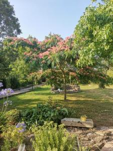 LʼAiguillon-sur-Vieにあるchambres d'hôtes "DINEDORT"のピンクの花の木のある庭園