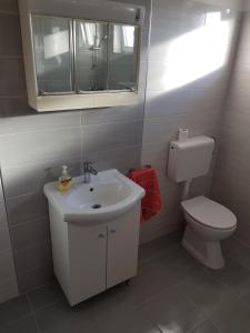 a bathroom with a sink and a toilet and a mirror at Apartments Celine & Fabienne in Brodarica