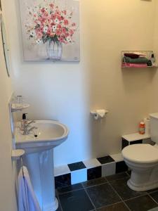 a bathroom with a sink and a toilet at Cut Limestone Apartment Riverside Lodge in Carlow