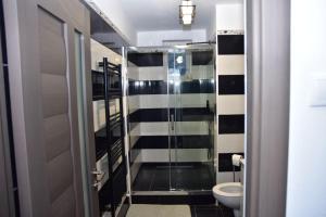 a bathroom with a shower and a toilet at Apartament Dabe Hd in Hunedoara