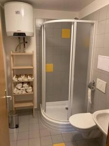 Koupelna v ubytování Horský apartmán Prášily