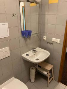 Koupelna v ubytování Horský apartmán Prášily