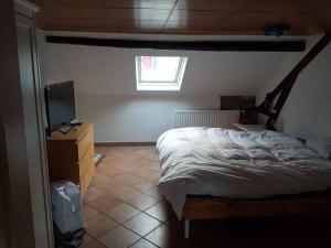 a bedroom with a bed and a television in it at Van Helsing in Esch-sur-Alzette