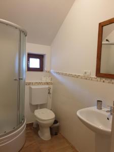 a bathroom with a toilet and a sink at StudioRasnov in Râşnov