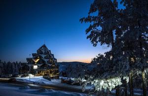 un grand lodge dans la neige la nuit dans l'établissement Diamond PART, à Divčibare