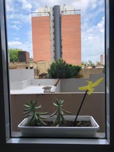 Balkón nebo terasa v ubytování Departamento a estrenar barrio abasto Rosario