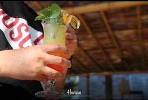 HAVANA HOUSE的酒水
