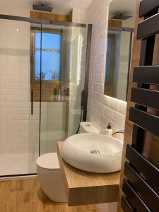 a bathroom with a sink and a toilet and a shower at Puerta al cielo Suite in Burgos