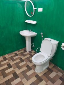 baño verde con aseo y lavamanos en Sigiri Green Shadow Homestay, en Sigiriya