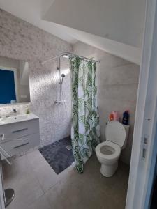 een badkamer met een toilet en een douchegordijn bij Villa Ô Bel Air - 4 étoiles - détente au bord de la piscine et baby-foot ! in Saint-Joseph