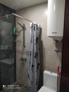 a bathroom with a shower with a toilet and a sink at ONLY for YOU in Tsaghkadzor